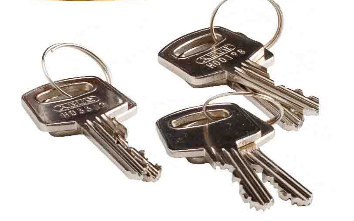 Abus Keyblanks for 76/40 Series Safety Padlocks (Box of 50 Key Blanks) - The Lock Source