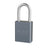 American Lock No. A31 Series Solid Aluminum Padlock With 5-Pin Non Rekeyable Cylinders - The Lock Source