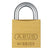 Abus 55/25 KA Brass Padlock Traditional Brass Locks Keyed Alike (5525KA) Padlocks - The Lock Source